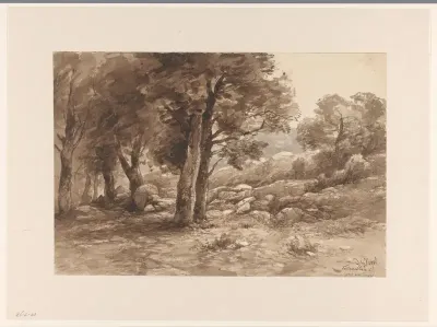 Rotsachtig landschap met bomen