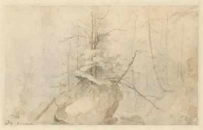 Rotsachtig landschap met bomen