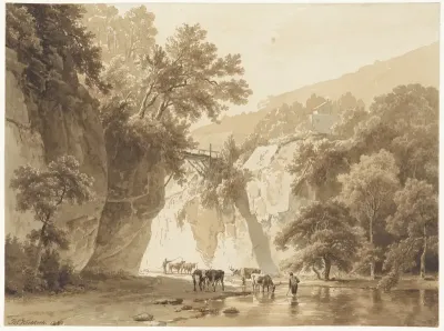 Rotsachtig landschap met drinkende koeien