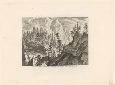 Rotsachtig landschap met naaldbomen