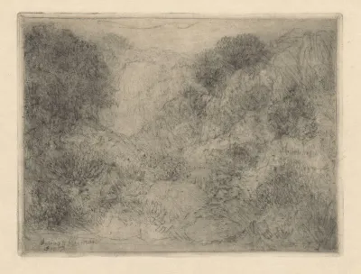 Rotsachtig landschap met struiken