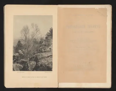 Rotslandschap met bomen