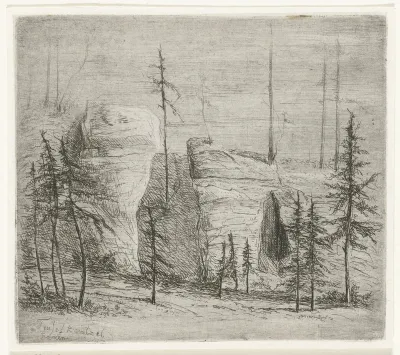 Rotslandschap met naaldbomen, de zogenaamde Teufelkanzel
