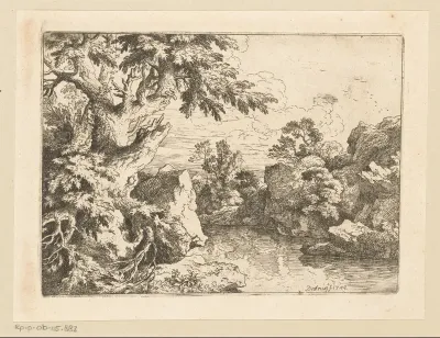 Rotslandschap met rivier en knoestige boom