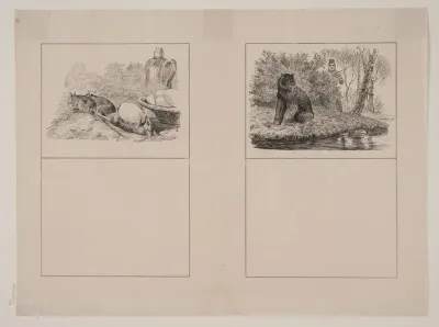 Rotterne; Bjørnen