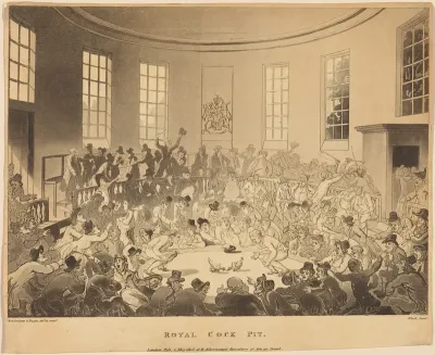 Royal Cock Pit