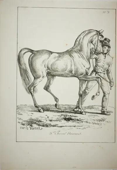 Royal Guard, Norman Cavalier, not in Full Dress, and Horse, No. 3