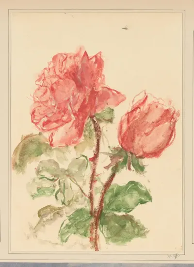 Rozen