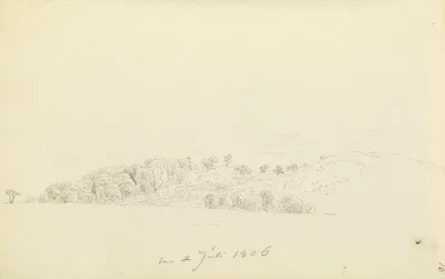 Rügische Hügellandschaft mit Baümen