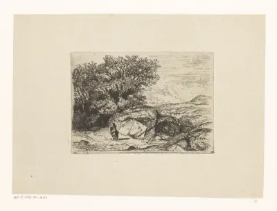 Ruiter in een heuvelachtig landschap