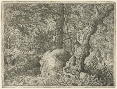 Ruiter in het bos