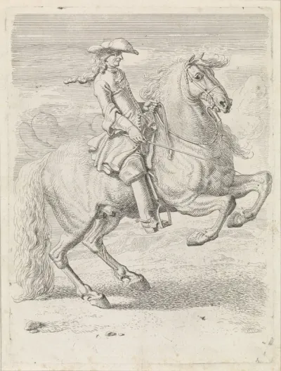 Ruiter laat zijn paard steigeren