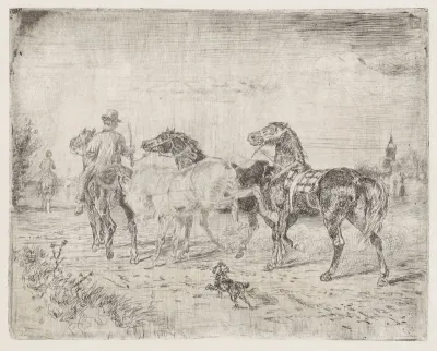 Ruiters met paarden