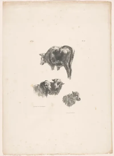 Rund, twee schapen en een ram
