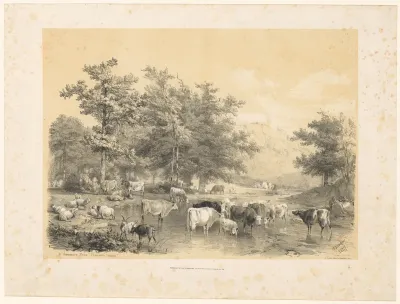 Runderen, schapen en geiten bij een waterplas