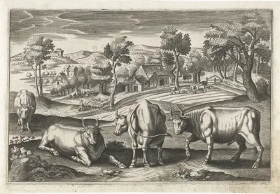Runderen