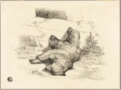 Russian Bear