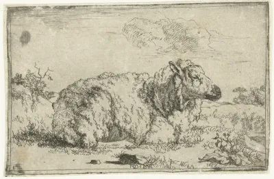 Rustend schaap, en profil