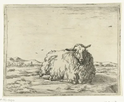 Rustend schaap, van voren gezien