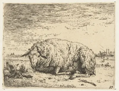 Rustend schaap