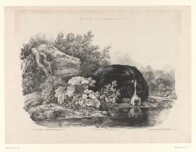 Rustende hond aan de rand van het water