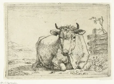 Rustende koe, bij hek