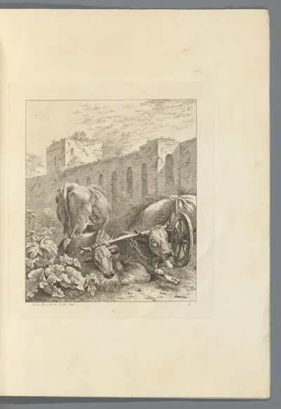 Rustende ossen bij een stadsmuur