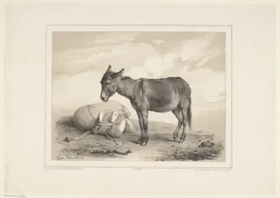 Rustende pakezel