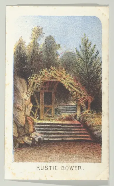Rustic Bower, from the series, Views in Central Park, New York, Part 3