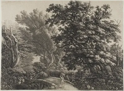 Rustic Bridge in a Tangled Wood