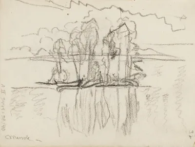 Saari