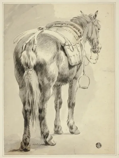 Saddle Horse