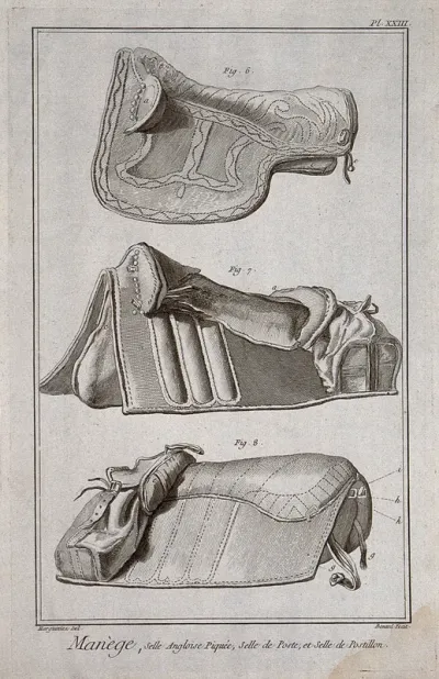 Saddles: three different types