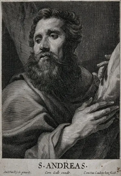 Saint Andrew. Line engraving by C. van Caukercken after Sir A. van Dyck