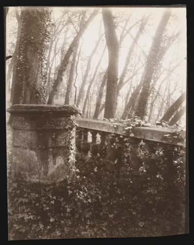 Saint Cloud Park