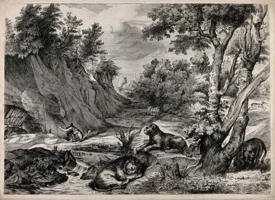 Saint Jerome. Etching by V. Denon, 1791, after Titian