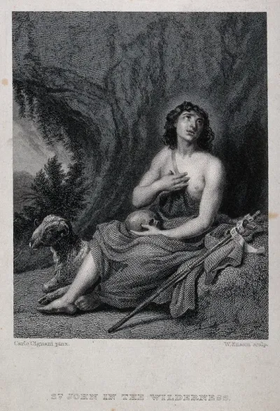 Saint John the Baptist as a youth in the wilderness, holding a skull