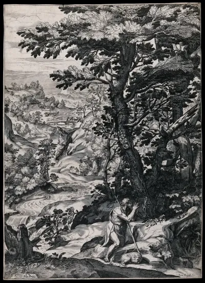 Saint John the Baptist in the wilderness, praying