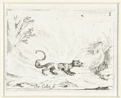 Salamander in het vuur