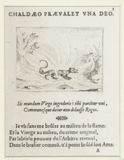 Salamander in het vuur