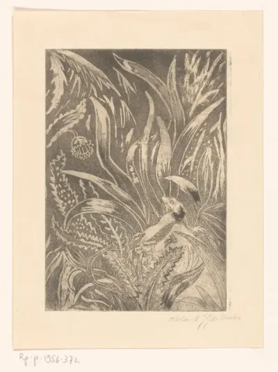 Salamander in hoog gras