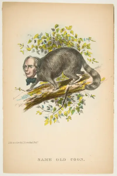 Same Old Coon (Henry Clay), from "The Comic Natural History of the Human Race"