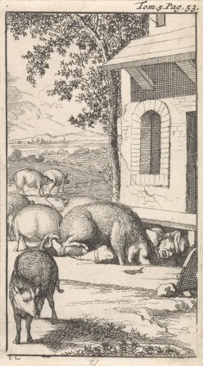 Sancho slapend in een varkenstrog voor een boerderij