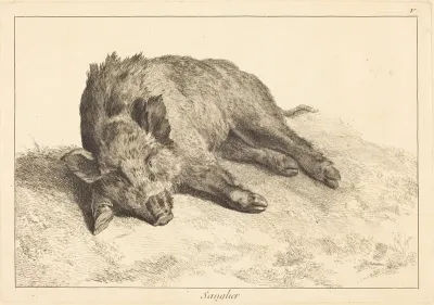 Sanglier (Wild Boar Lying Down, Head to the Left)