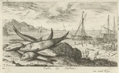 Sardines op het strand
