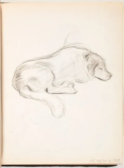 Sarto