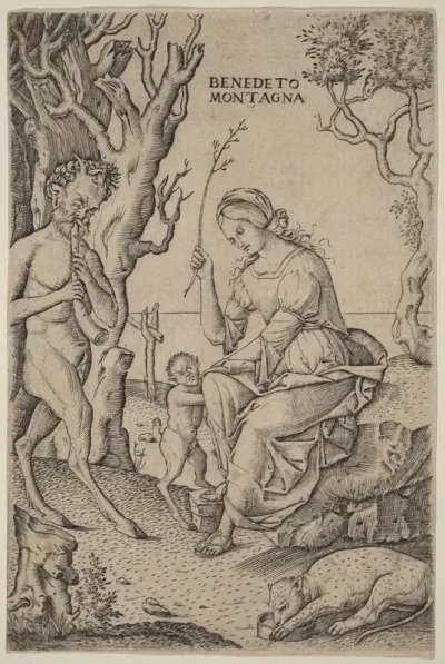 Satyr Family