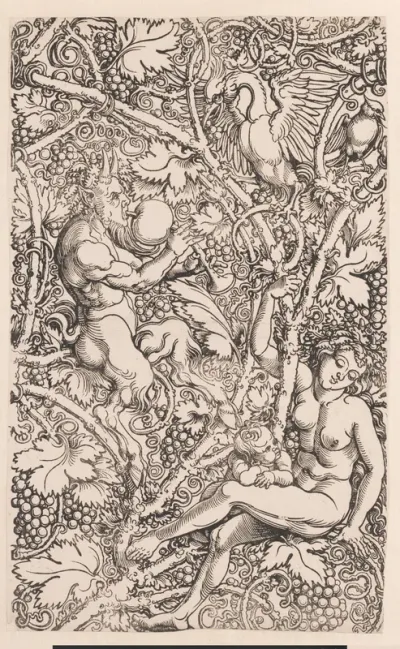 Satyrfamilie tussen wijnranken (deel 2)
