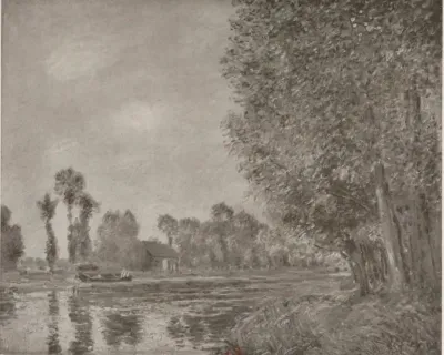 Saules et peupliers au bord du Loing le matin