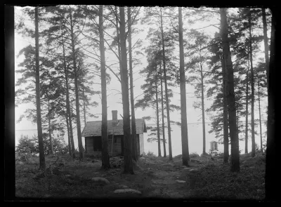 Sauna Selkärannassa